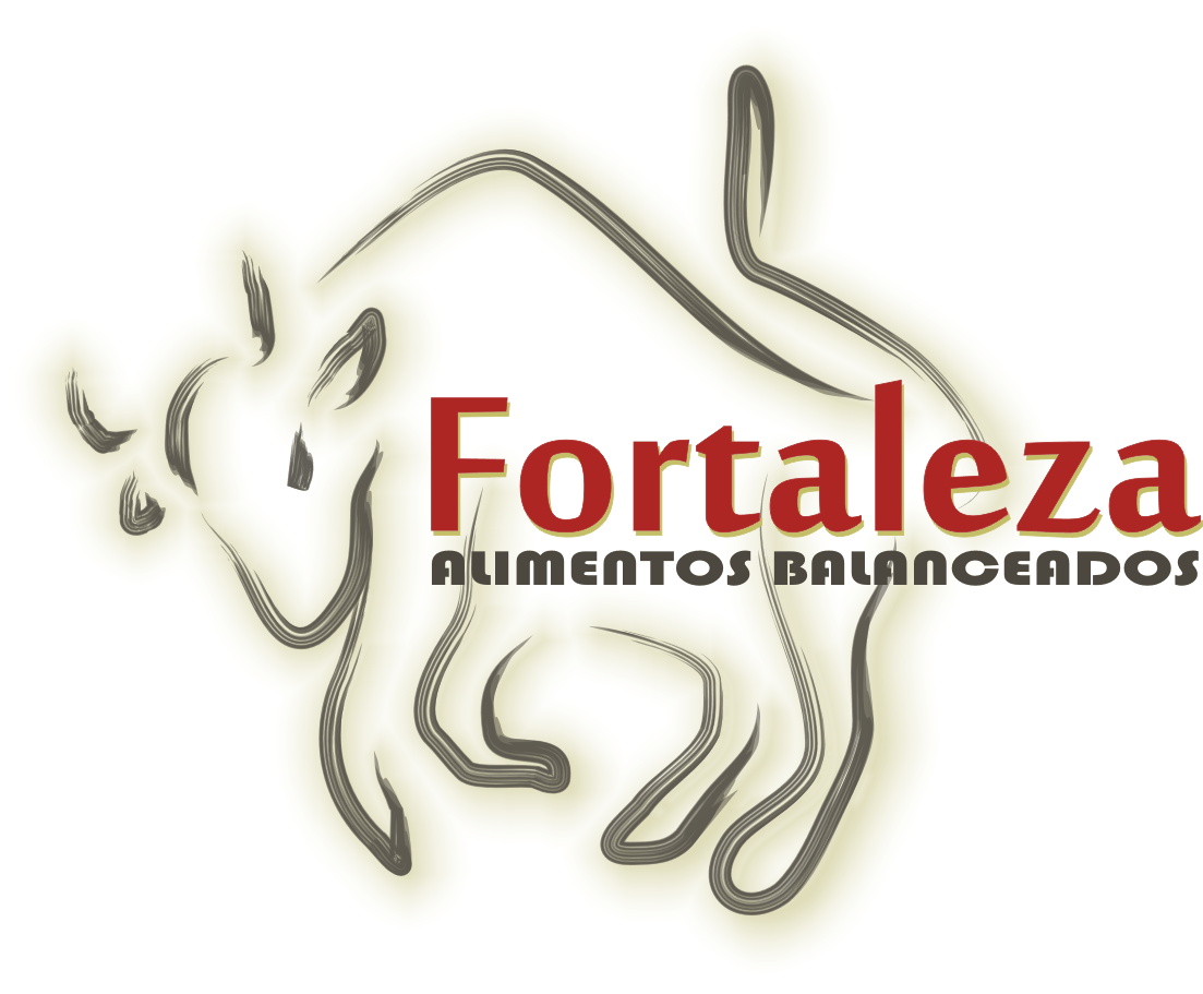 Fortaleza